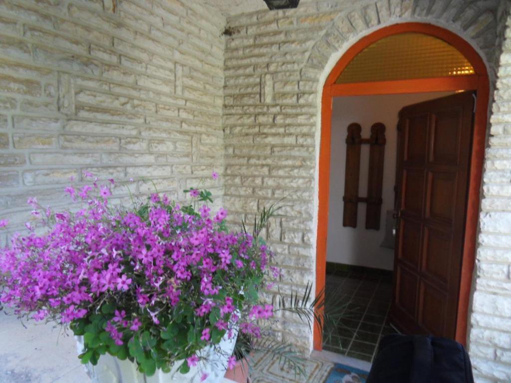 Sunset Beachfront Residence Rogoznica  Zewnętrze zdjęcie
